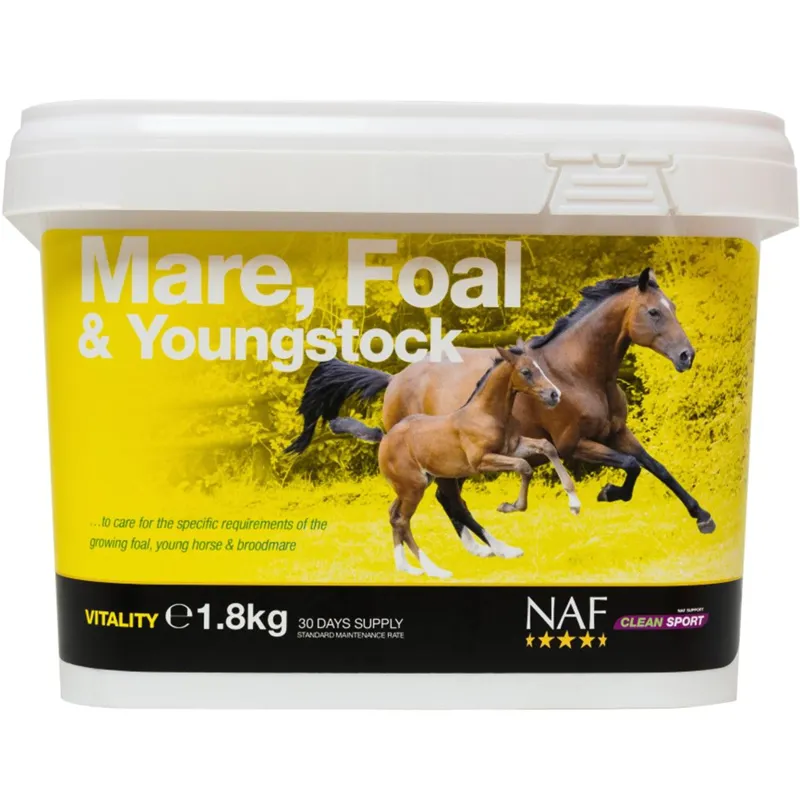 NAF Mare Foal and Youngstock