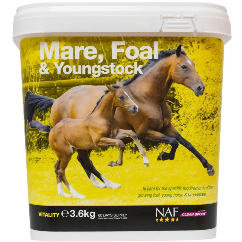 NAF Mare Foal and Youngstock-1
