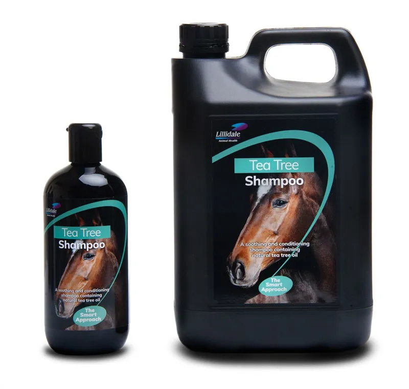 Lillidale Tea Tree Shampoo