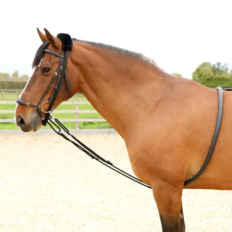 Shires Soft Lunging Aid - Black