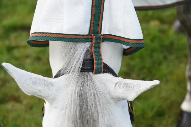 WeatherBeeta ComFiTec Tyro Mesh Combo Neck - White/Green/Burnt Orange-4