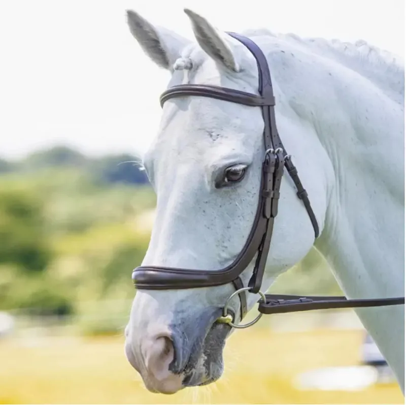 Shires Velociti RAPIDA Ergononic Curved Cavesson Bridle - Pony - Havana - Unboxed-2