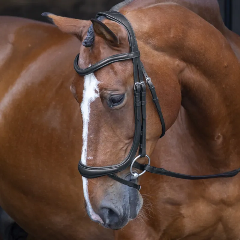 Shires Velociti RAPIDA Ergonomic Curved Flash Bridle - Black - Pony - Unboxed