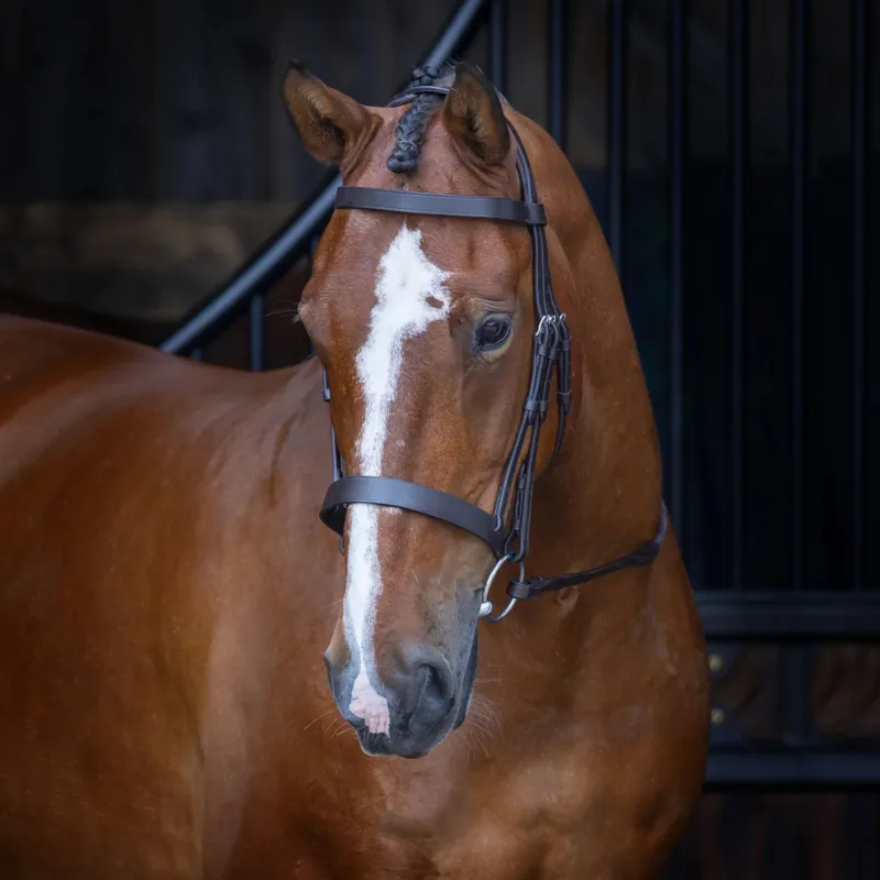 Shires Velociti RAPIDA Padded Raised Flash Bridle - Pony - Havana