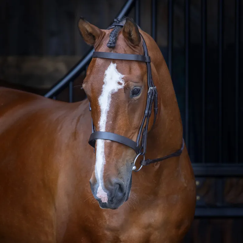 Shires Velociti RAPIDA Hunter Cavesson Bridle - Cob -  Havana