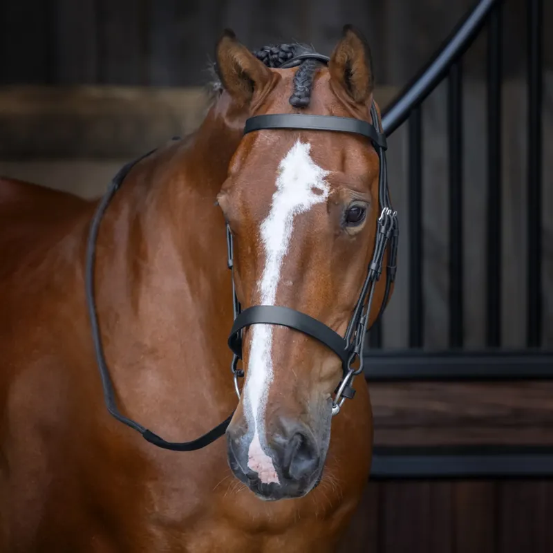 Shires Velociti RAPIDA Hunter Cavesson Bridle - Black - Cob