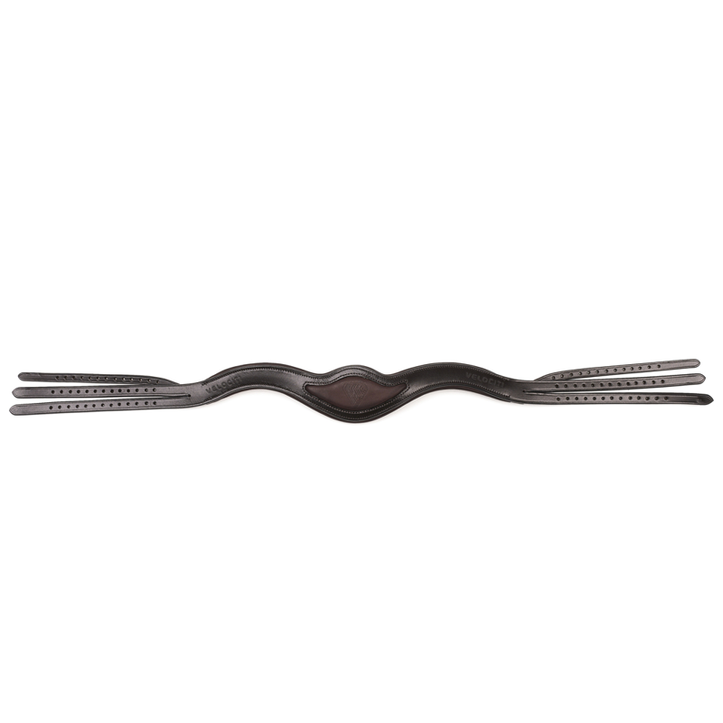 Shires Velociti Rapida Evo Universal Headpiece - Havana