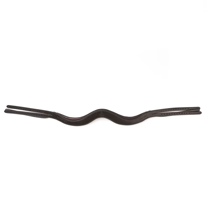 Shires Velociti Rapida Evo Nl Headpiece - Havana