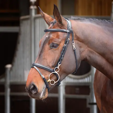 504609_6 504609_6