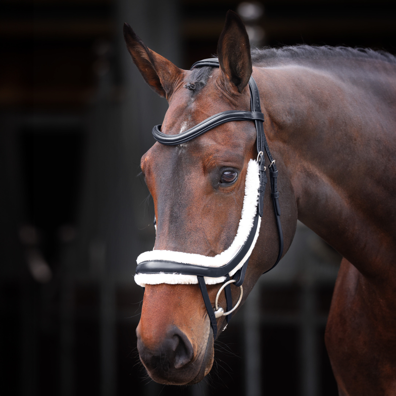Shires Velociti Rapida Fleece Lined Curved Flash Noseband - Black-1