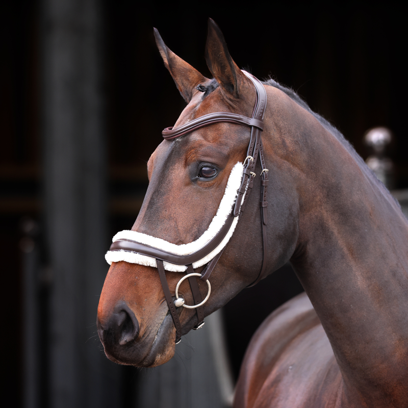Shires Velociti Rapida Fleece Lined Curved Flash Noseband - Havana-1