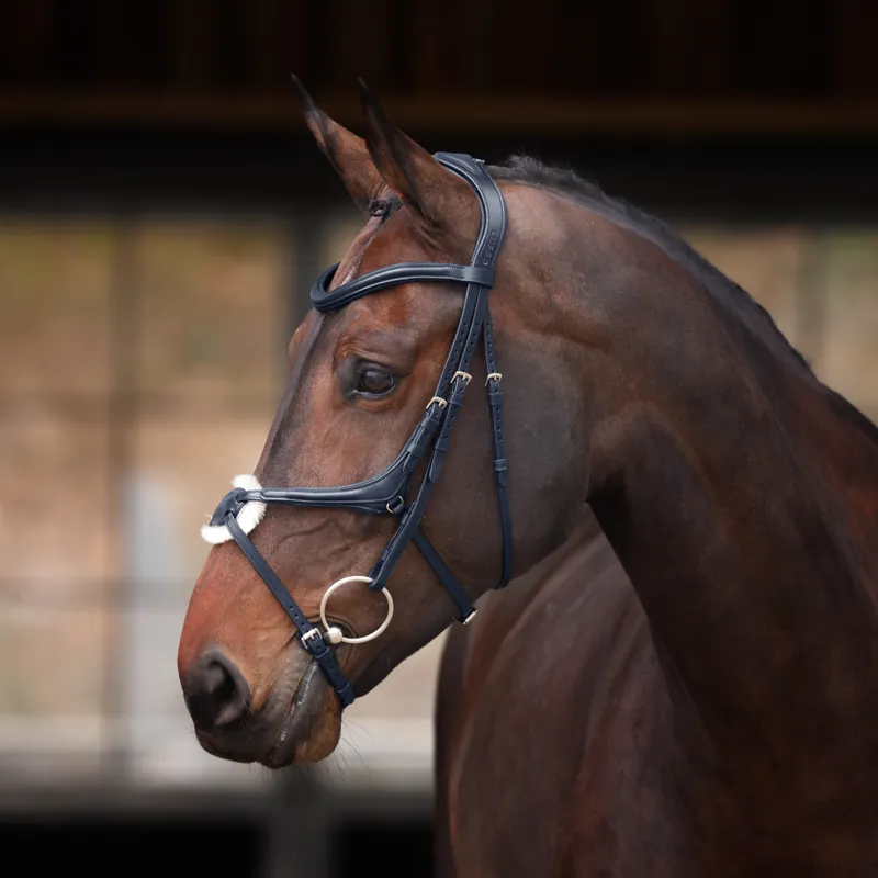 Shires Velociti Lusso Elite Grackle Bridle - Black
