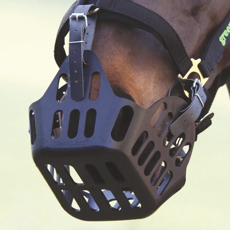 Shires Greenguard Muzzle - Cob - Black