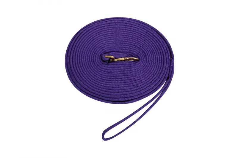Kincade Two Tone Padded Lunging Rein - Purple/Black