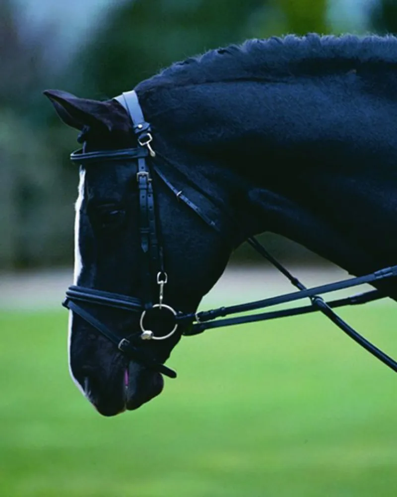 Kincade Chambon - Black