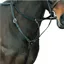 Kincade Event/Hunt Breastplate - Black
