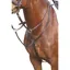 Kincade Event/Hunt Breastplate - Brown