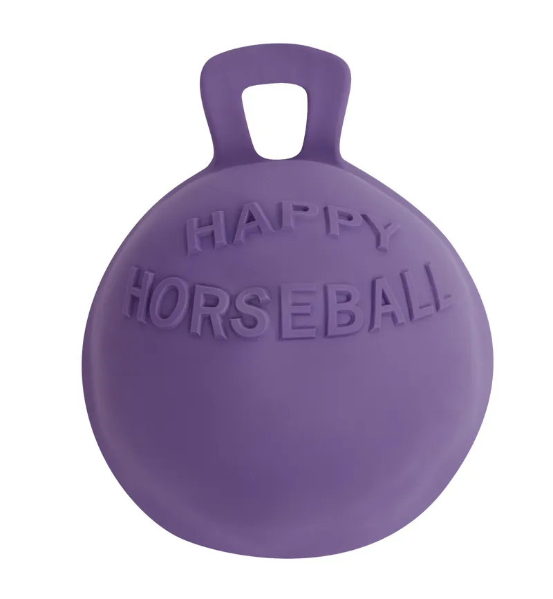 Roma Equine Play Ball - Purple