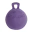 Roma Equine Play Ball - Purple
