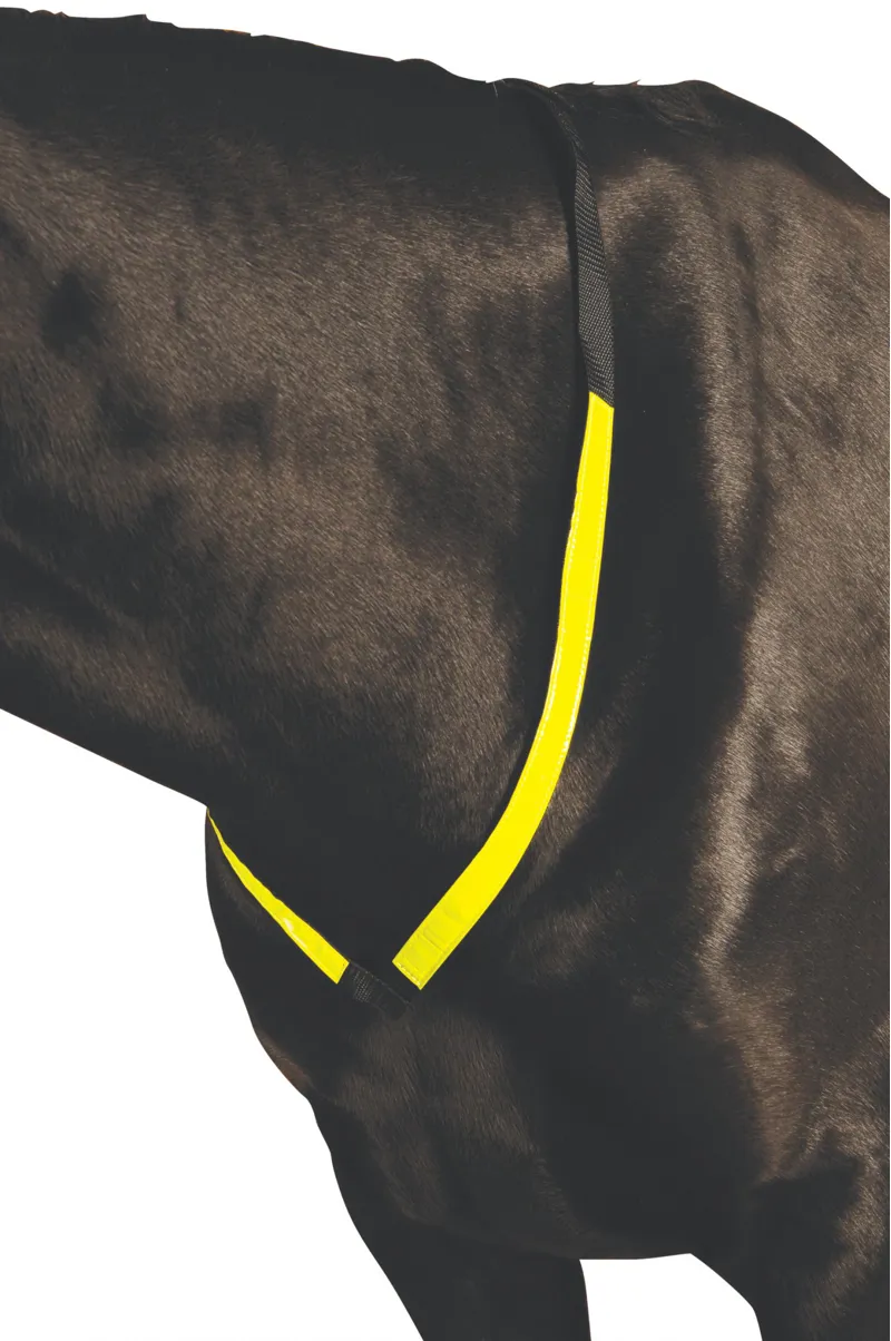 Roma Reflective Breastplate - Yellow
