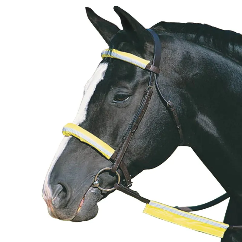 Roma Reflective Bridle Kit - Yellow