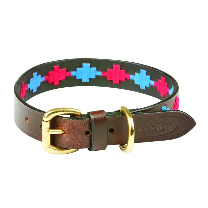 WeatherBeeta Polo Leather Dog Collar - Brown/Pink/Blue