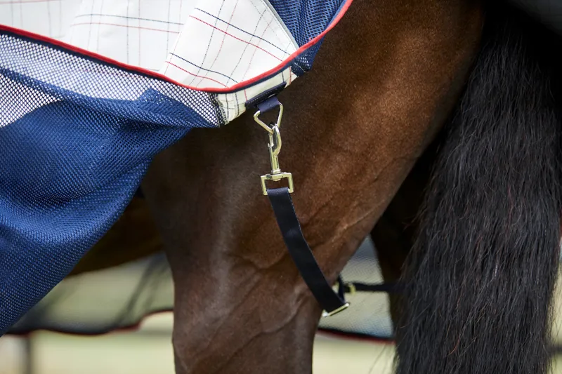 WeatherBeeta Breeze with Surcingle IV Combo Neck Fly Rug - White/Navy/Red-5