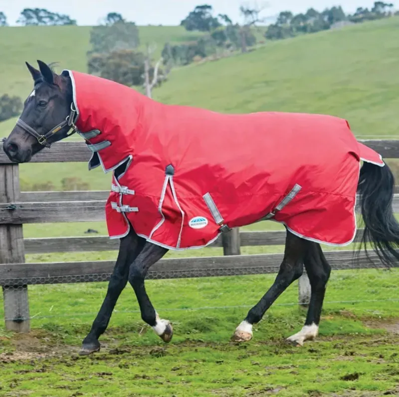 WeatherBeeta ComFiTec Classic 220g Combo Neck Turnout Rug - Red/Silver