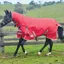 WeatherBeeta ComFiTec Classic 220g Combo Neck Turnout Rug - Red/Silver