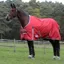 WeatherBeeta ComFiTec Classic 220g Standard Neck Turnout Rug - Red/Silver