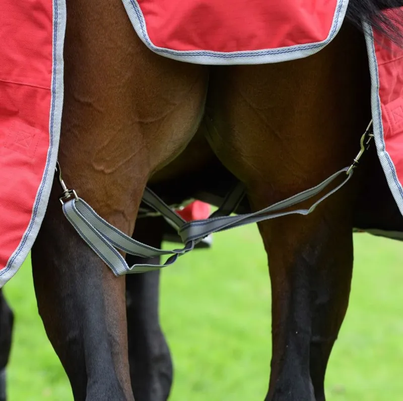 WeatherBeeta ComFiTec Classic 0g Lite Standard Neck Turnout Rug - Red/Silver-2