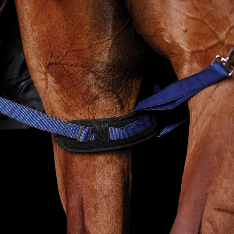 Weatherbeeta Padded Leg Straps - Navy