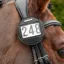 Shires Velociti Bridle Competition Number Holder - Havana