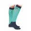 Shires Aubrion Sudbury Performance Socks - Aqua