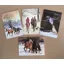 Caroline Cook Christmas Cards - Pack of 8