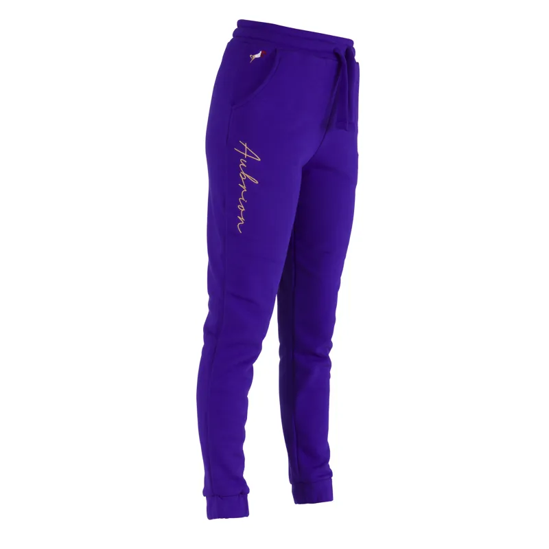 Shires Aubrion Team Joggers - Blue-1