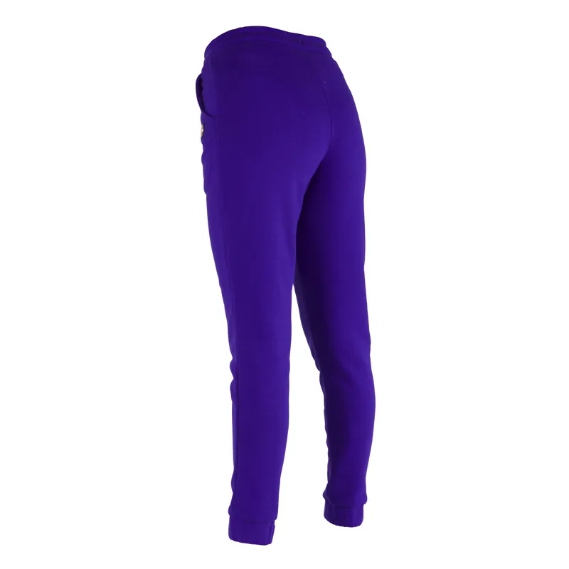 Shires Aubrion Team Joggers - Blue-3