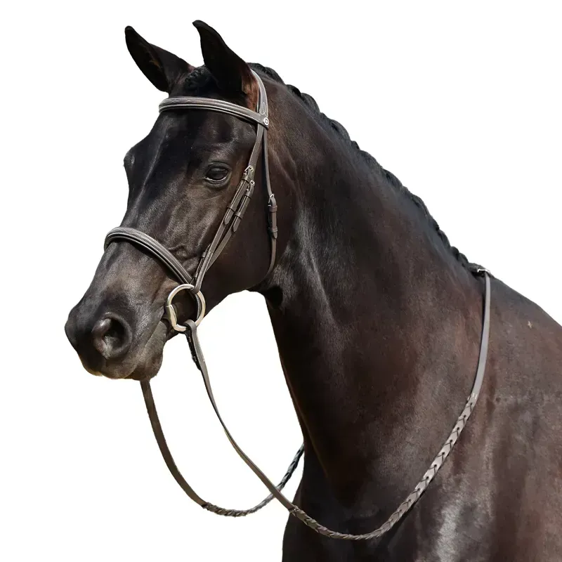Dublin Padded Mono Crown Fancy Stitch Hunt Bridle - Brown