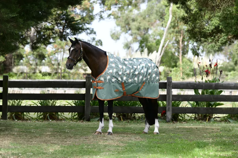 WeatherBeeta ComFiTec Tyro Standard Neck 50g Plus Rug - Goose Print-1