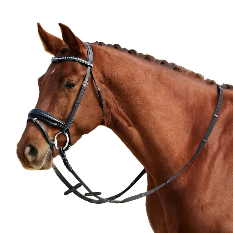 Dublin Padded Comfort Crown Patent Flash Bridle - Black