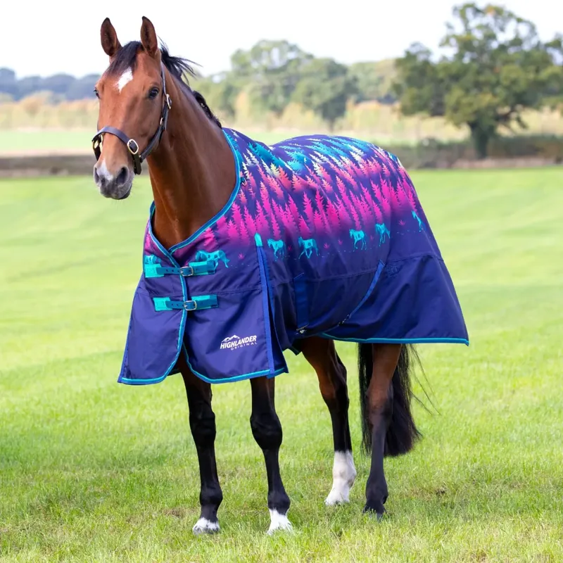 Shires Highlander Original 200g Turnout Rug - Navy Forest