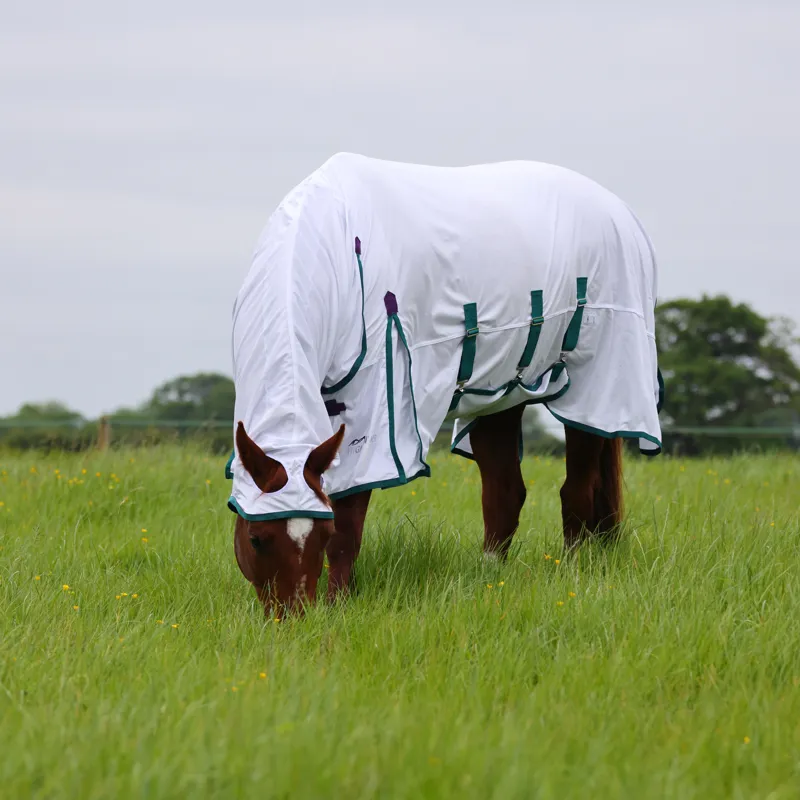 Shires Highlander Plus Fly Sheet Combo Rug - White-2