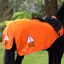 Shires Equi Flector Mesh Exercise Sheet - Orange