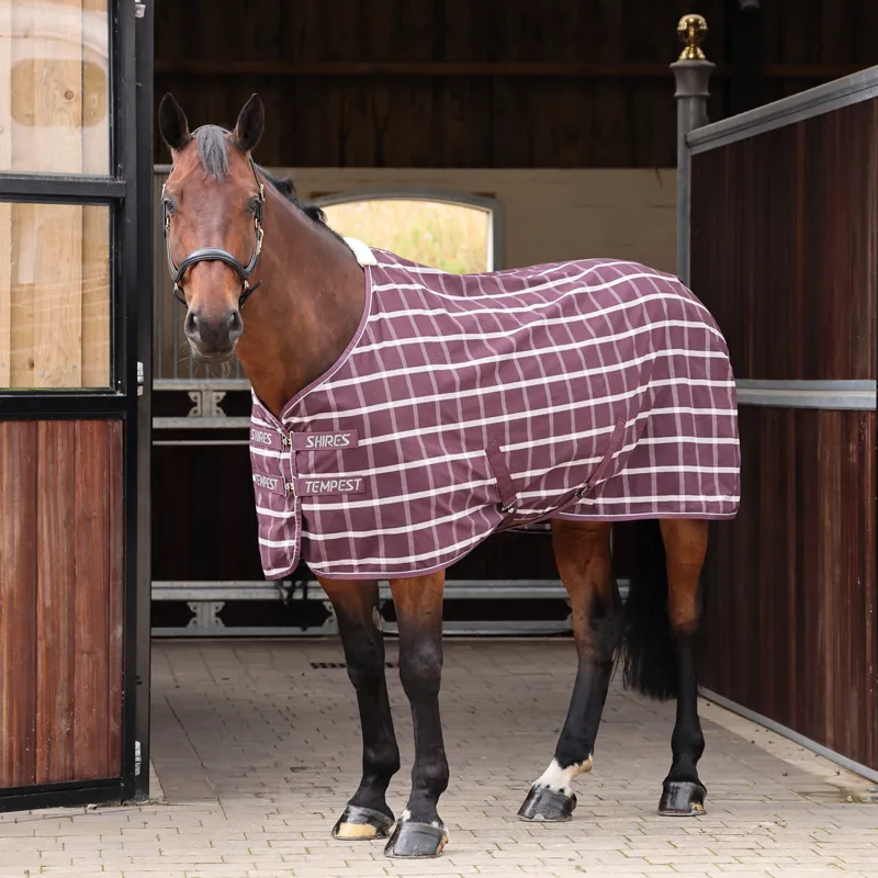 Shires Tempest Original Stable Sheet - Maroon Check