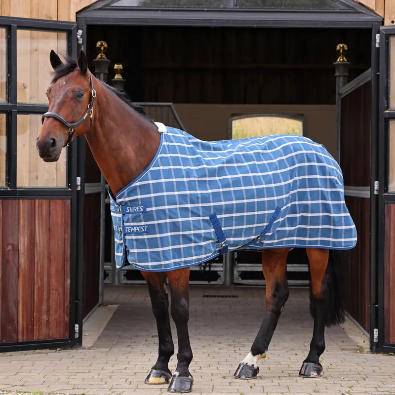 Shires Tempest Original Stable Sheet - Teal Check