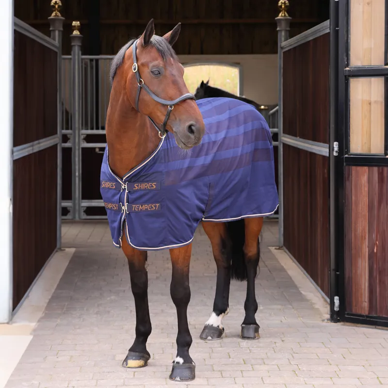 Shires Tempest Original Scrim Cooler Rug - Ink