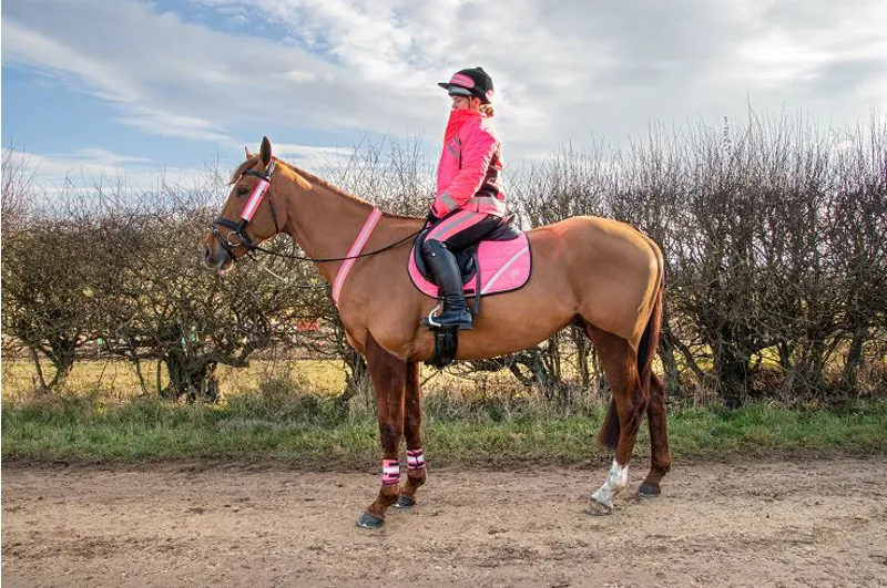 Hy Equestrian Reflector Ladies Jodhpurs - Pink/Black-3