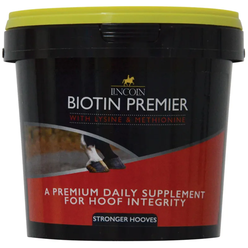 Lincoln Biotin Supplement - 600g 