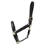 Coldstream Leather Padded Head Collar - Black