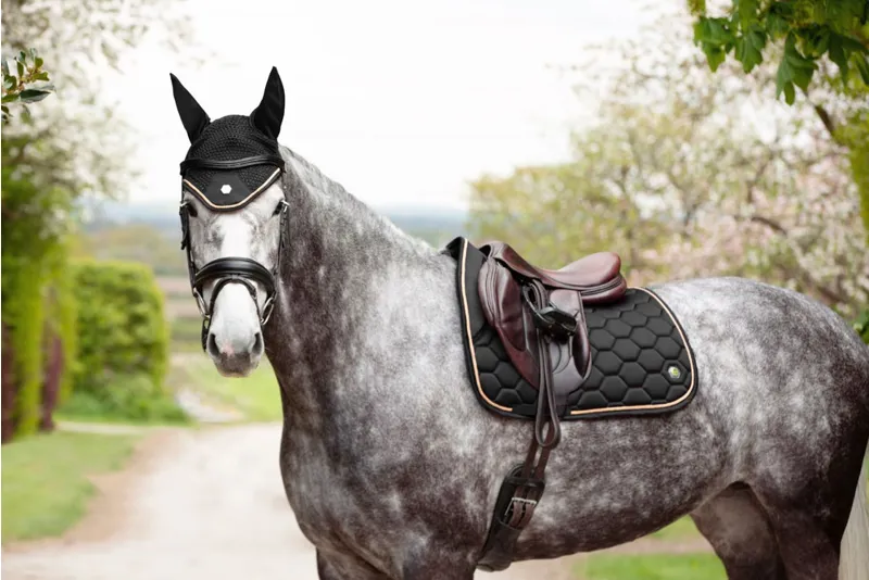 Coldstream Marygold GP Saddle Pad - Black-2